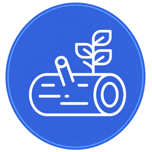 Madeira