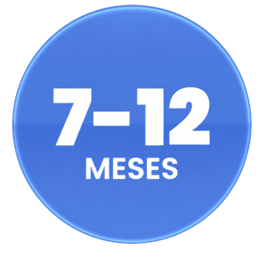 7 a 12 Meses