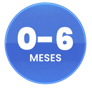 0 a 6 Meses